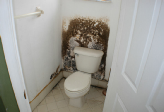 Mold Removal Boynton Beach